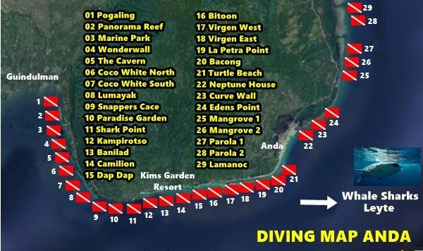 most beautiful dive sites Bohol dive sites anda bohol