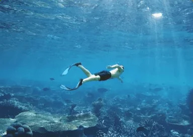 Diving