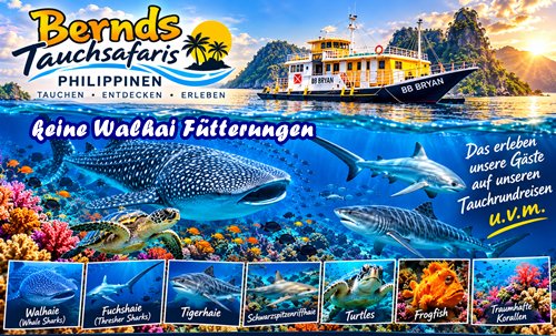 Tauchrundreise Philippinen Bernds Tauchsafaris